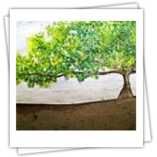 Rapid Events - Artistry